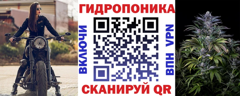 Бошки марихуана OG Kush  Купить где  Губкин 